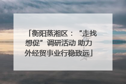 衡阳蒸湘区：“走找想促”调研活动 助力外经贸事业行稳致远